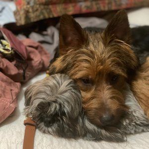 Meet your Posher, Mark